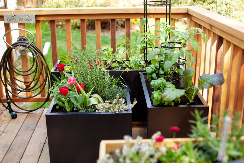 Black metal planter boxes look great on a wooden deck or patio. Growing flowers, herbs and vegetables can be done right out your back door!