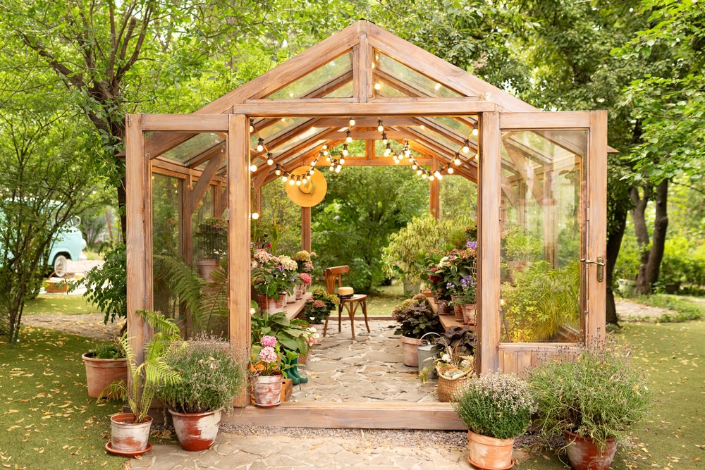 backyard garden